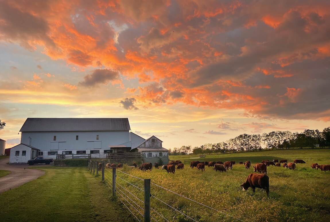 Bendy Brook Farm at Sunset